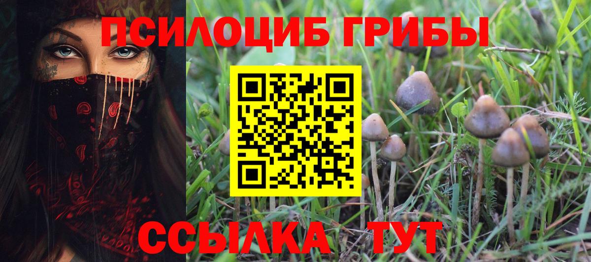 Галлюциногенные грибы Magic Shrooms Тверь