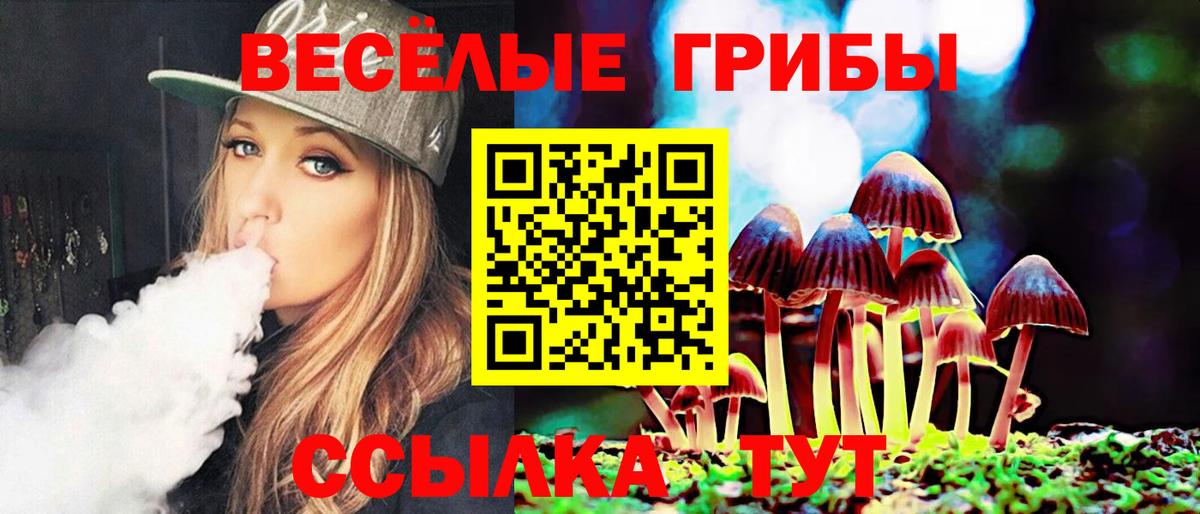 Галлюциногенные грибы Magic Shrooms  Вход с VPN  Тверь 